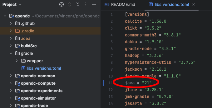 Intellij Libs Versions Toml